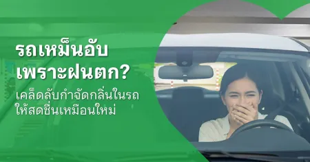 วิธีดับกลิ่นเหม็นเน่าในรถ