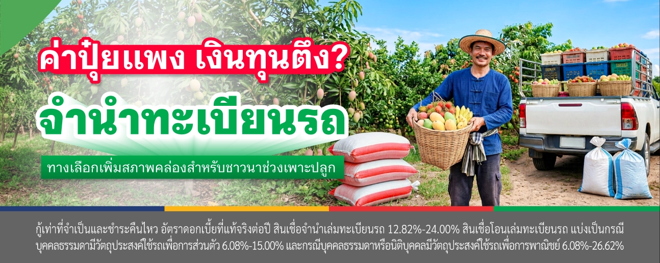 จำนำทะเบียนรถ
